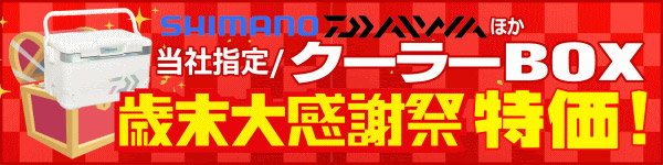 歳末大感謝祭 特価!